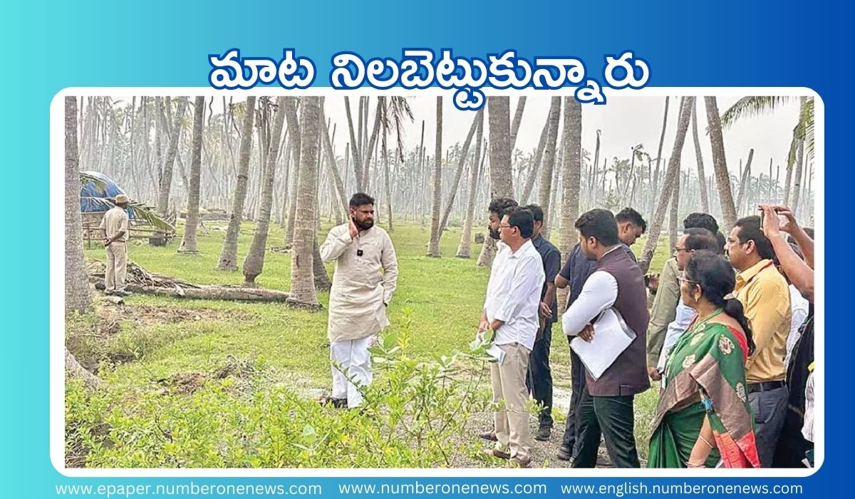 Konaseema News: రాజోలు కొబ్బరి రైతుల కష్టాలను తీర్చేందుకు పవన్ కళ్యాణ్ రూ.20.77 కోట్లతో శంకరగుప్తం డ్రెయిన్ ఆధునికీకరణ పనులు ప్రారంభించారు.(file photo)