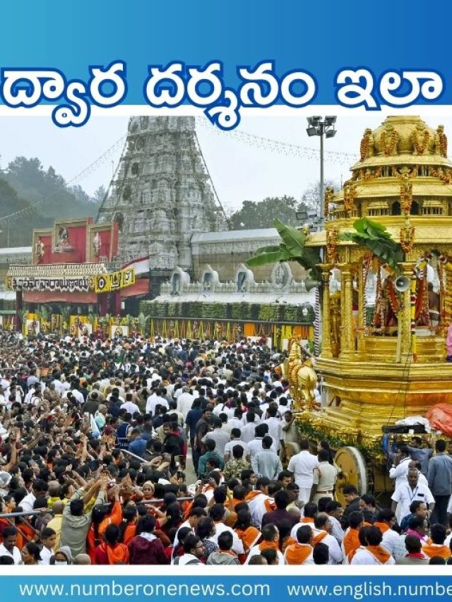 ముక్కోటి ఏకాదశి.. భక్తజన పరవళ్లు.. సందడిగా ఆలయాలు